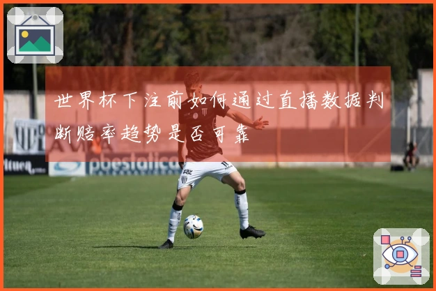 世界杯下注前如何通过直播数据判断赔率趋势是否可靠